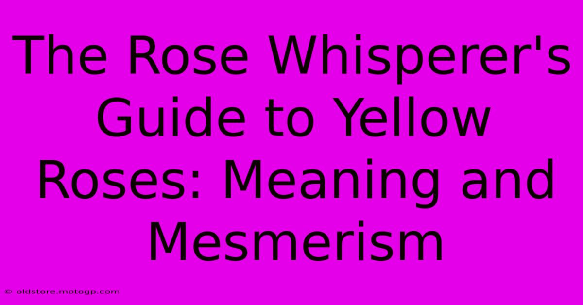 The Rose Whisperer's Guide To Yellow Roses: Meaning And Mesmerism