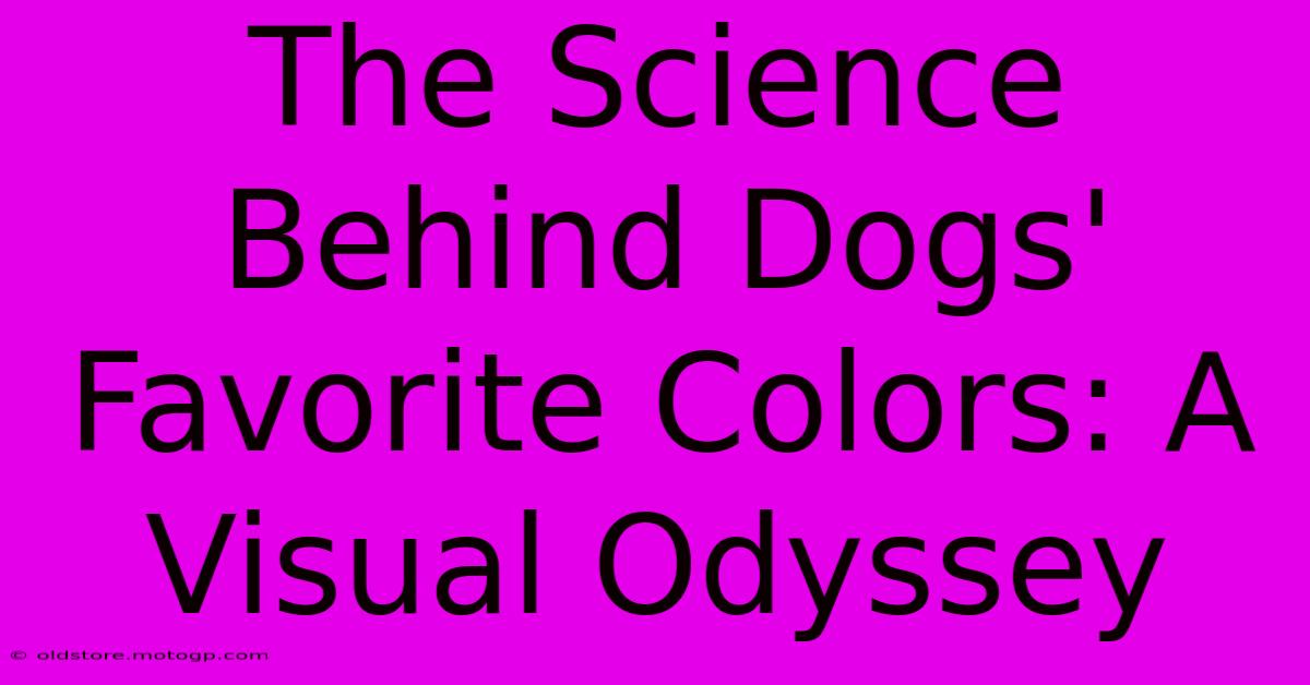 The Science Behind Dogs' Favorite Colors: A Visual Odyssey