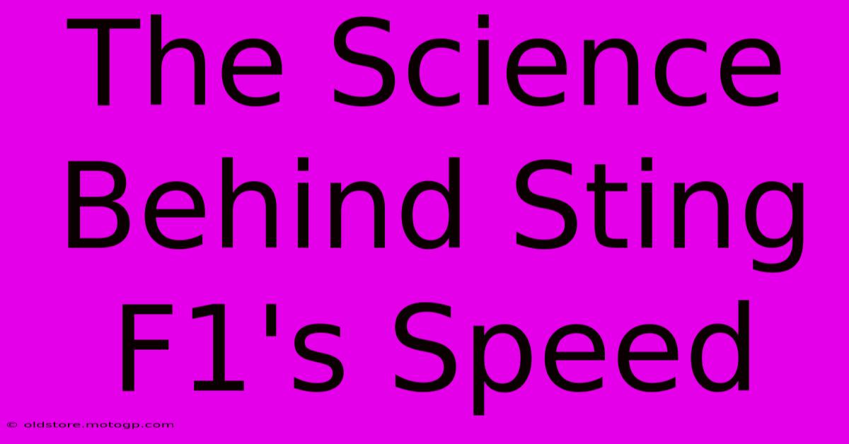 The Science Behind Sting F1's Speed