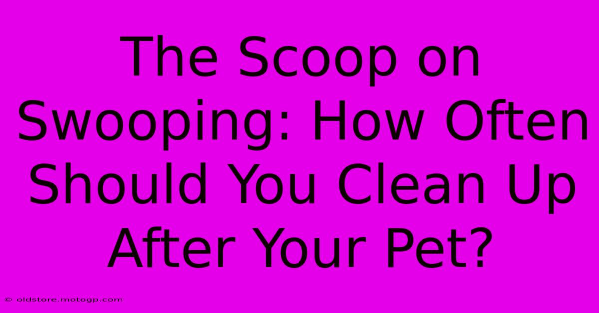 The Scoop On Swooping: How Often Should You Clean Up After Your Pet?