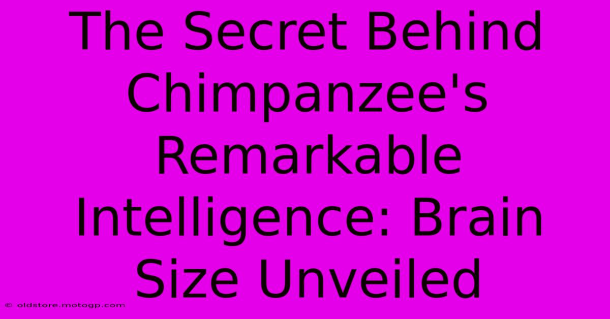 The Secret Behind Chimpanzee's Remarkable Intelligence: Brain Size Unveiled