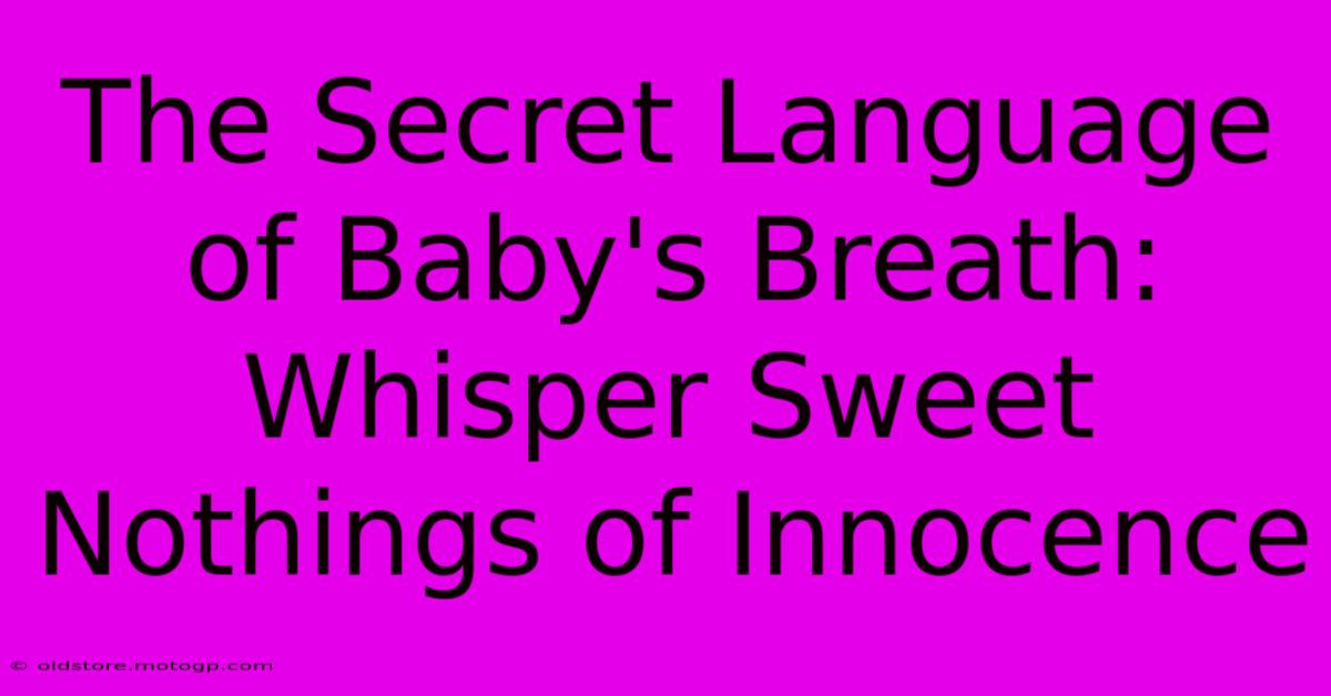 The Secret Language Of Baby's Breath: Whisper Sweet Nothings Of Innocence