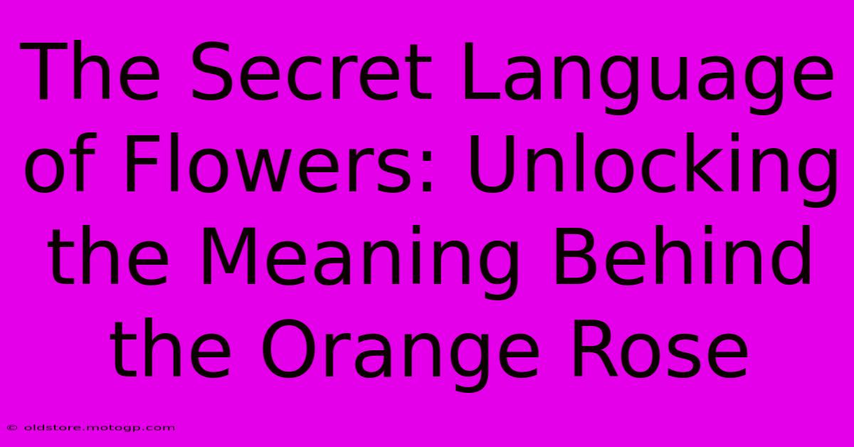 The Secret Language Of Flowers: Unlocking The Meaning Behind The Orange Rose