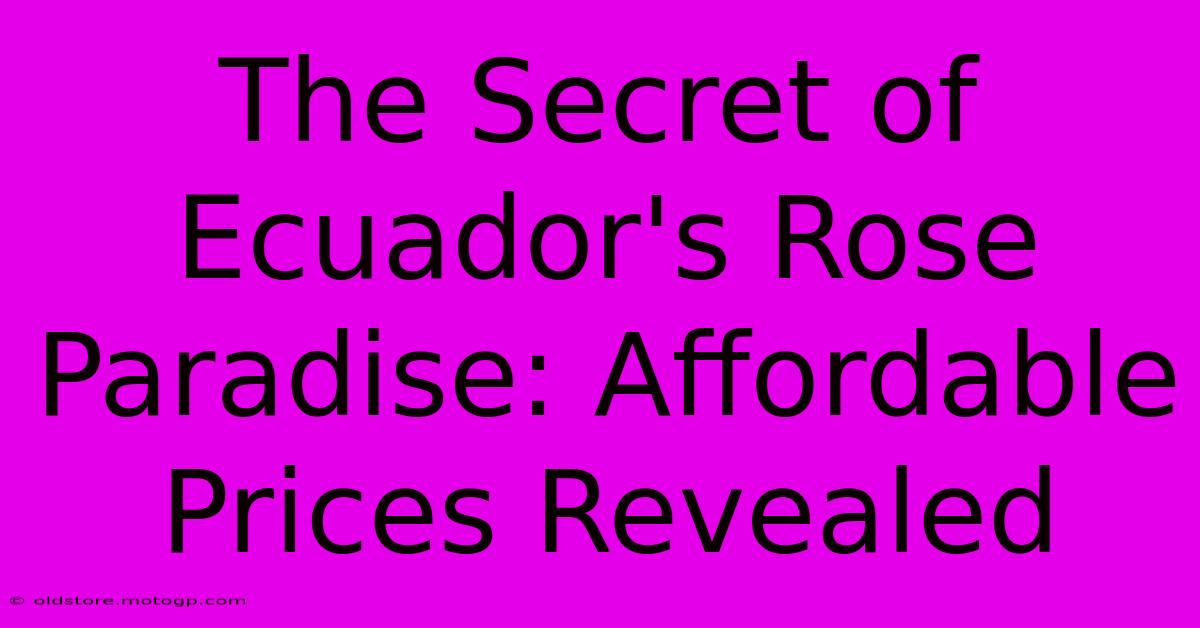 The Secret Of Ecuador's Rose Paradise: Affordable Prices Revealed