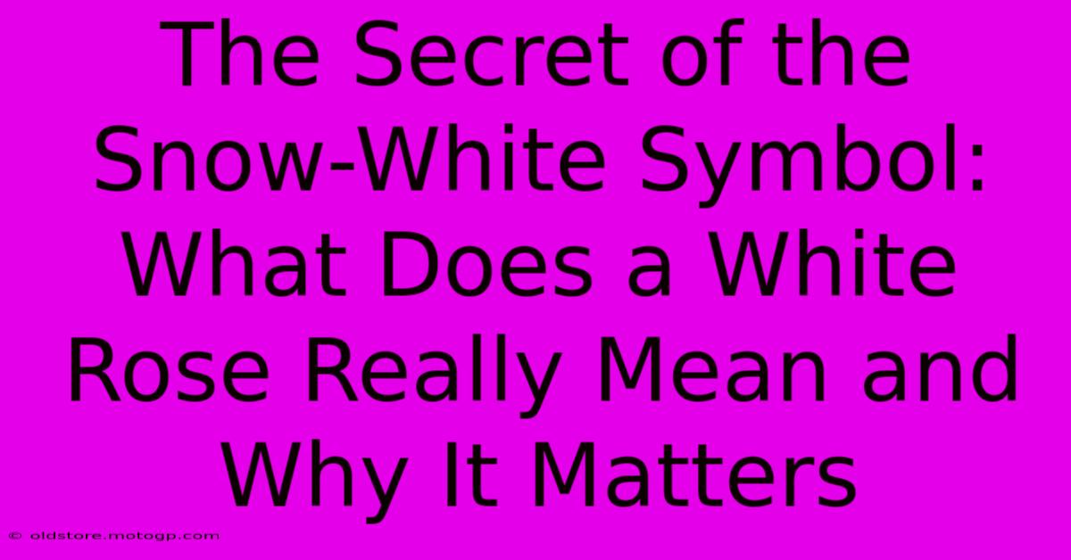 The Secret Of The Snow-White Symbol: What Does A White Rose Really Mean And Why It Matters