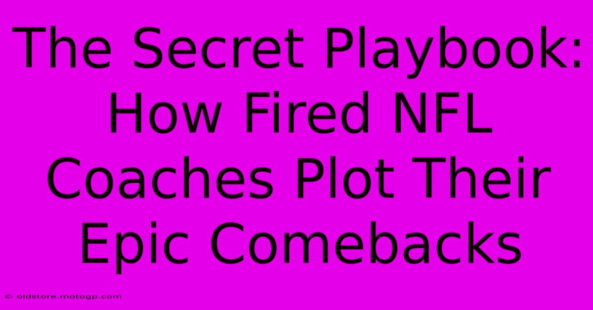 The Secret Playbook: How Fired NFL Coaches Plot Their Epic Comebacks