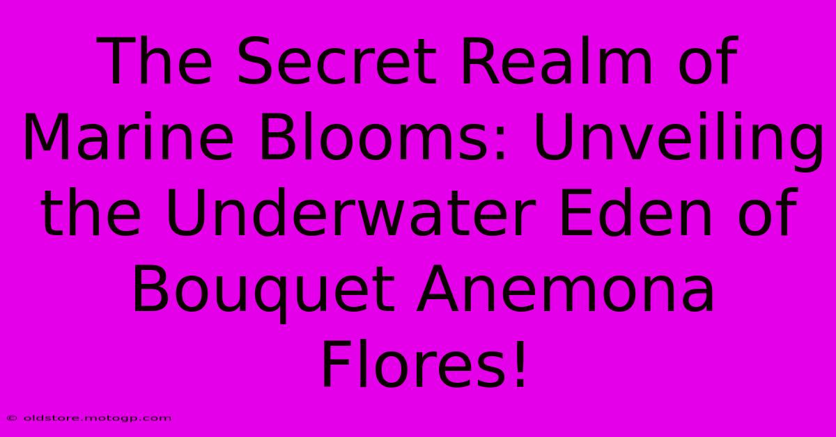 The Secret Realm Of Marine Blooms: Unveiling The Underwater Eden Of Bouquet Anemona Flores!