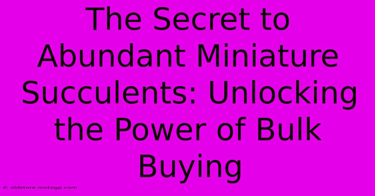 The Secret To Abundant Miniature Succulents: Unlocking The Power Of Bulk Buying