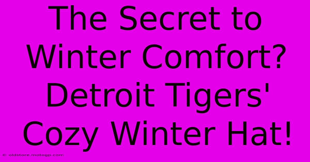 The Secret To Winter Comfort? Detroit Tigers' Cozy Winter Hat!