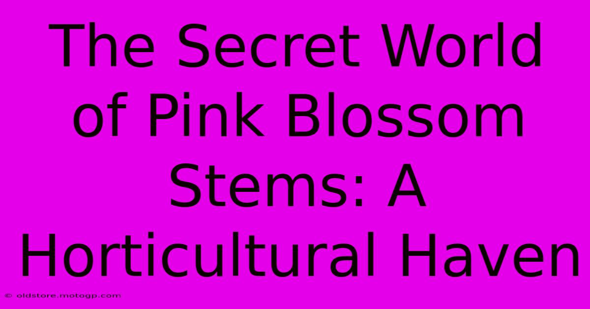 The Secret World Of Pink Blossom Stems: A Horticultural Haven