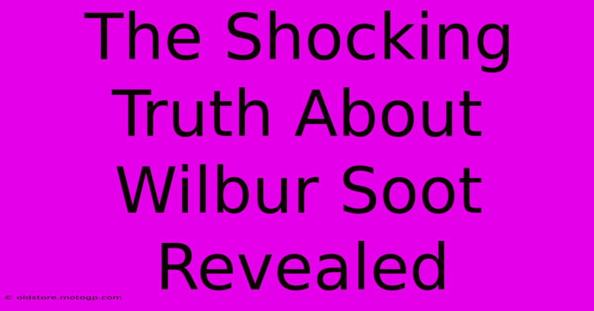 The Shocking Truth About Wilbur Soot Revealed