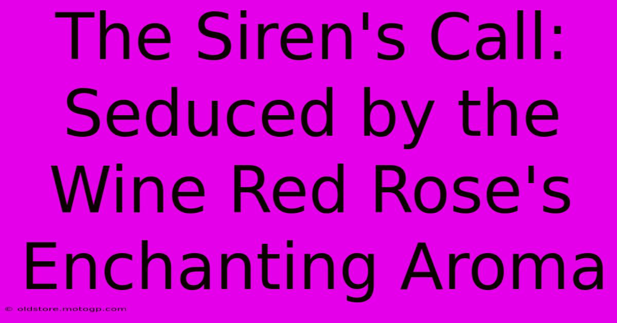 The Siren's Call: Seduced By The Wine Red Rose's Enchanting Aroma