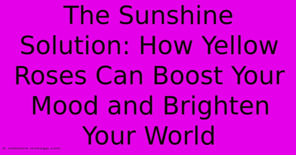 The Sunshine Solution: How Yellow Roses Can Boost Your Mood And Brighten Your World