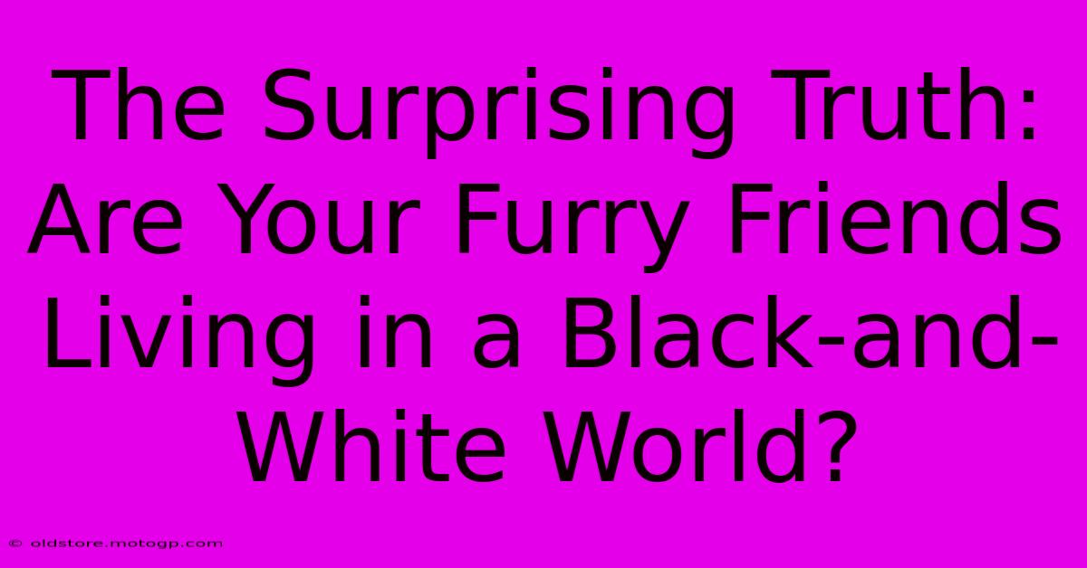 The Surprising Truth: Are Your Furry Friends Living In A Black-and-White World?