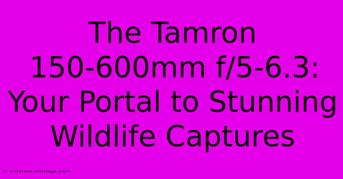 The Tamron 150-600mm F/5-6.3: Your Portal To Stunning Wildlife Captures