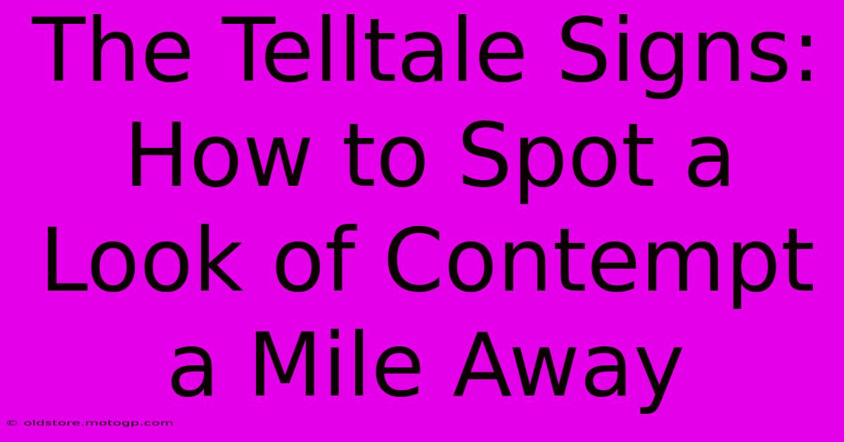 The Telltale Signs: How To Spot A Look Of Contempt A Mile Away