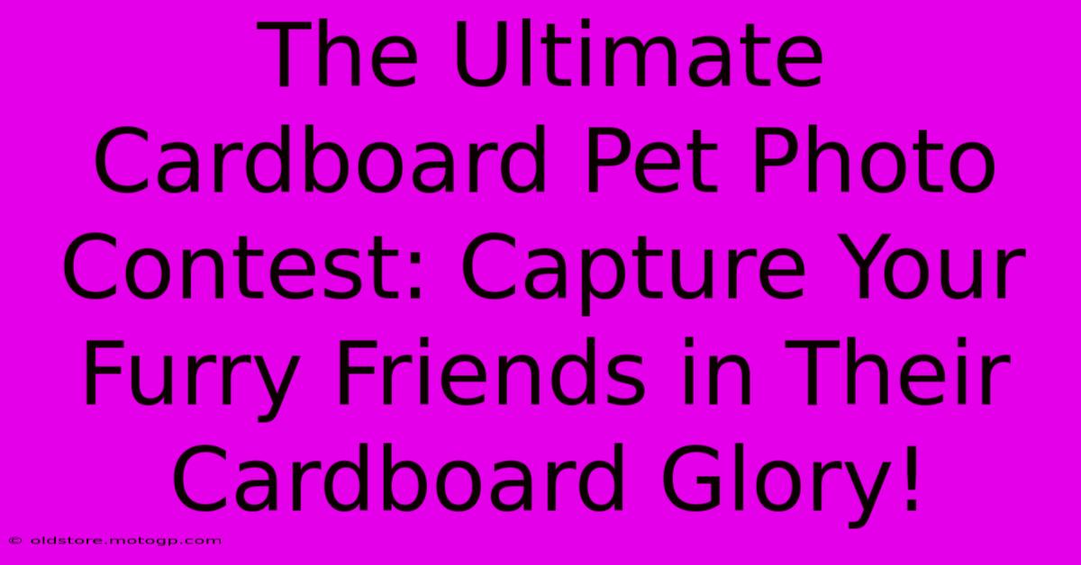 The Ultimate Cardboard Pet Photo Contest: Capture Your Furry Friends In Their Cardboard Glory!