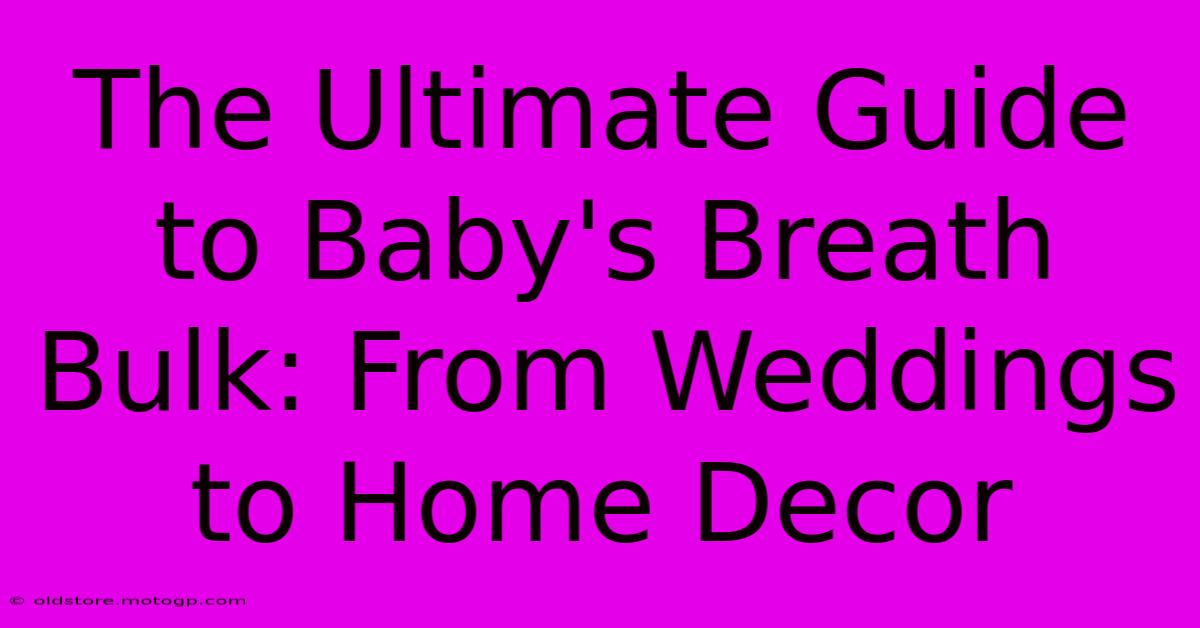 The Ultimate Guide To Baby's Breath Bulk: From Weddings To Home Decor