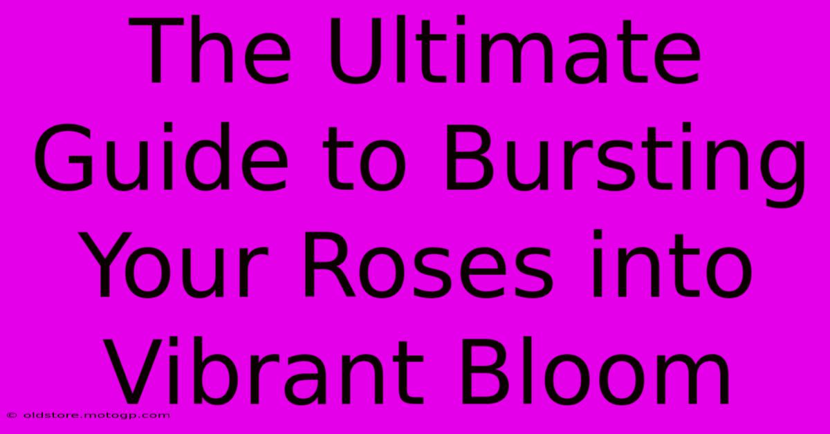 The Ultimate Guide To Bursting Your Roses Into Vibrant Bloom