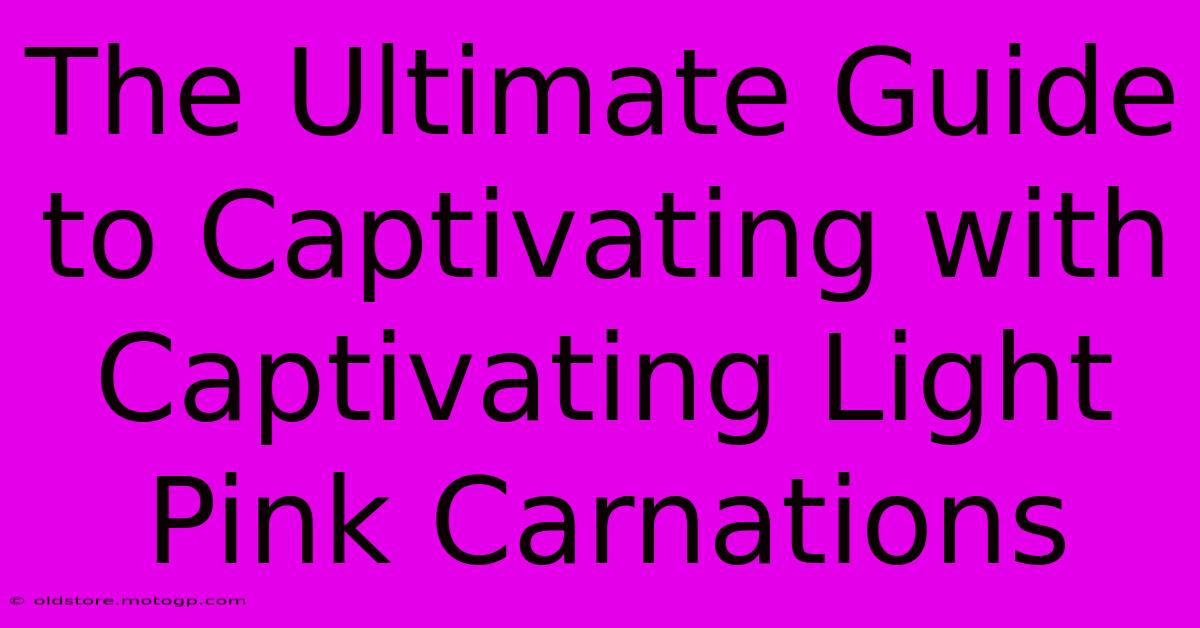 The Ultimate Guide To Captivating With Captivating Light Pink Carnations