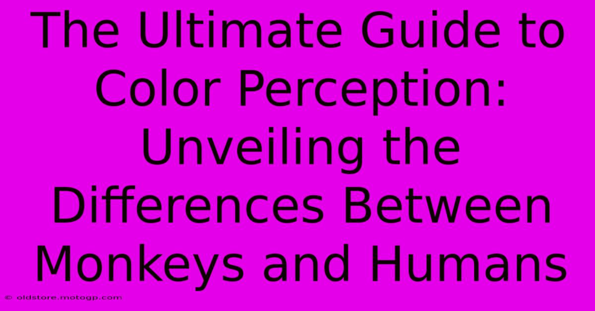 The Ultimate Guide To Color Perception: Unveiling The Differences Between Monkeys And Humans