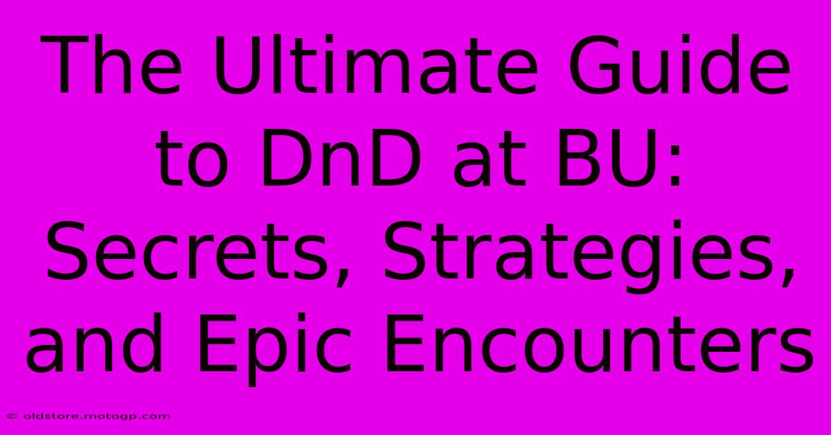 The Ultimate Guide To DnD At BU: Secrets, Strategies, And Epic Encounters