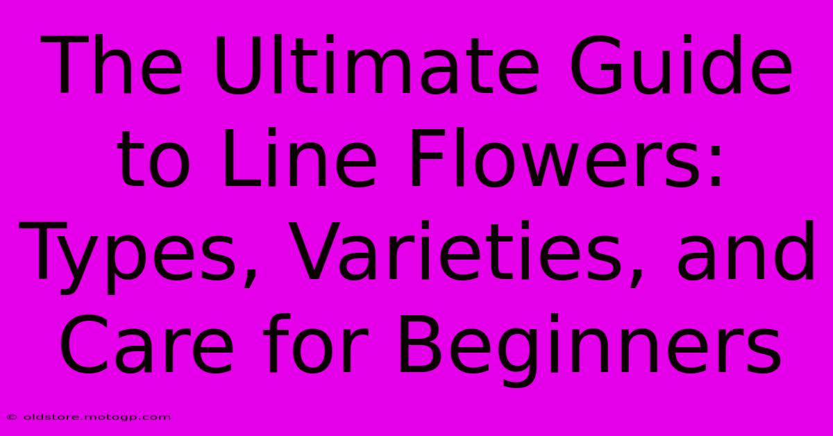 The Ultimate Guide To Line Flowers: Types, Varieties, And Care For Beginners