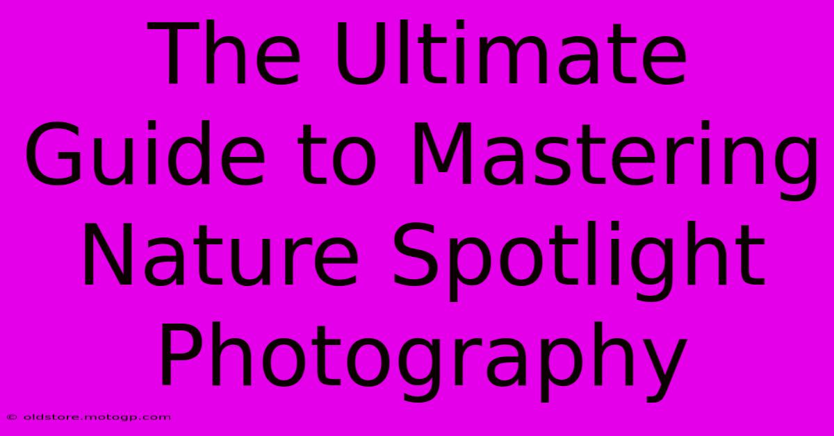 The Ultimate Guide To Mastering Nature Spotlight Photography