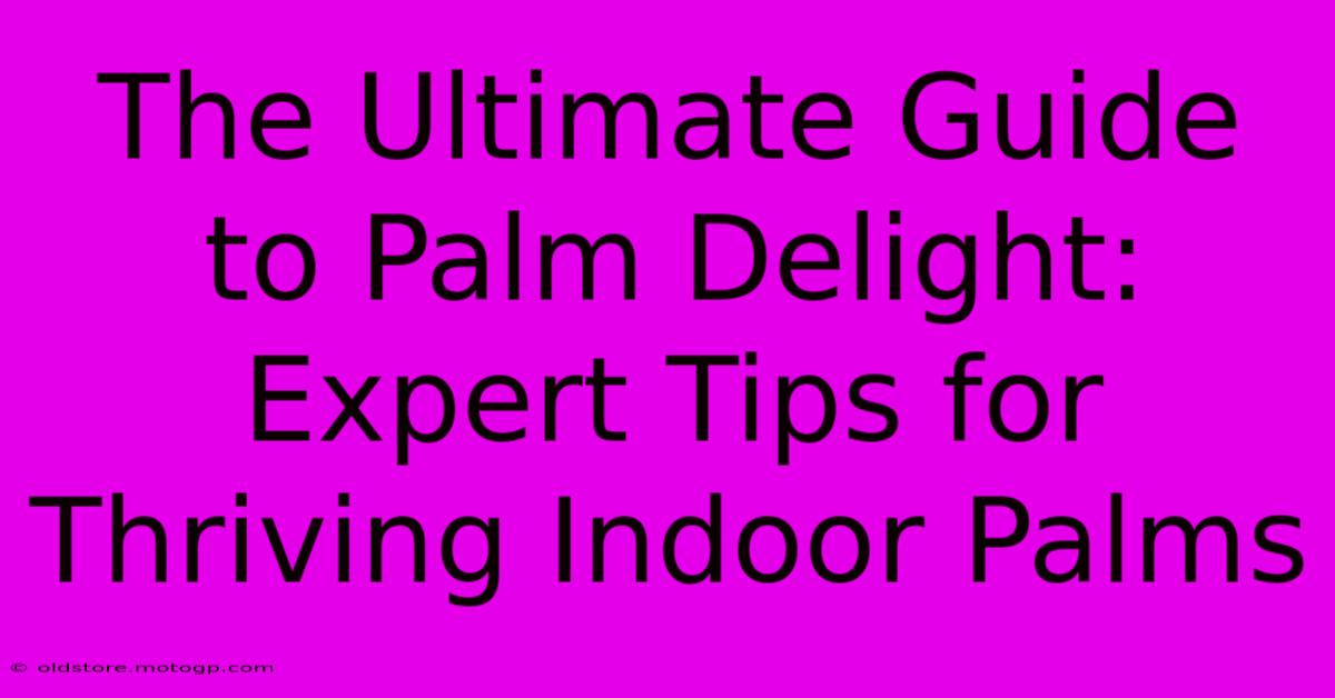 The Ultimate Guide To Palm Delight: Expert Tips For Thriving Indoor Palms