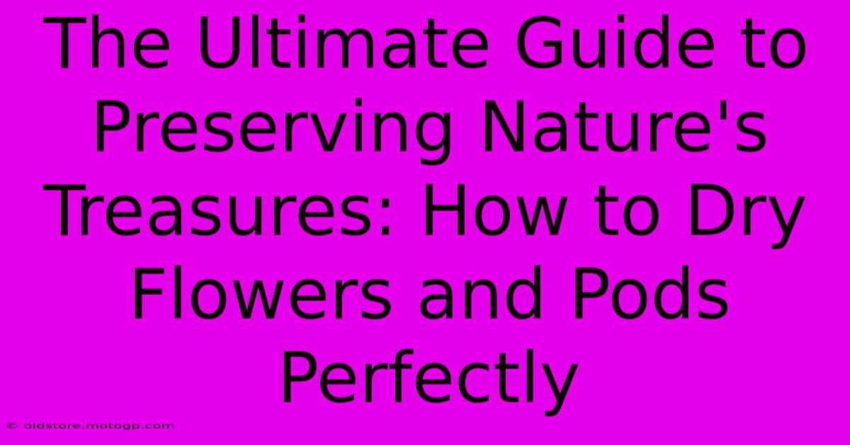 The Ultimate Guide To Preserving Nature's Treasures: How To Dry Flowers And Pods Perfectly