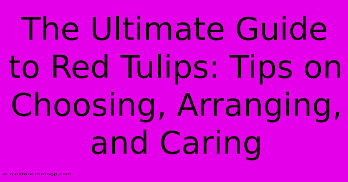 The Ultimate Guide To Red Tulips: Tips On Choosing, Arranging, And Caring