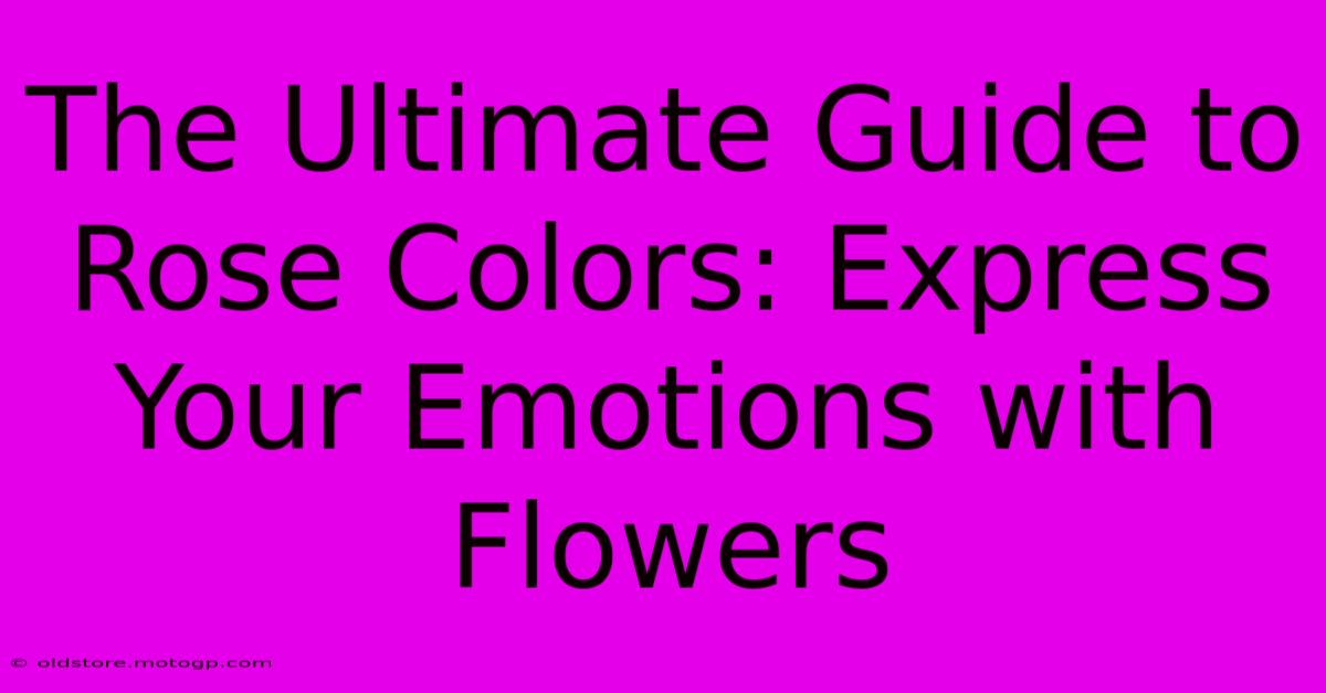 The Ultimate Guide To Rose Colors: Express Your Emotions With Flowers