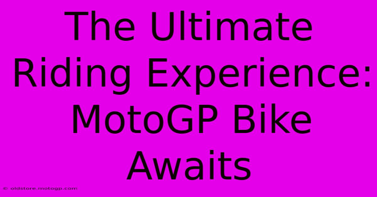 The Ultimate Riding Experience: MotoGP Bike Awaits