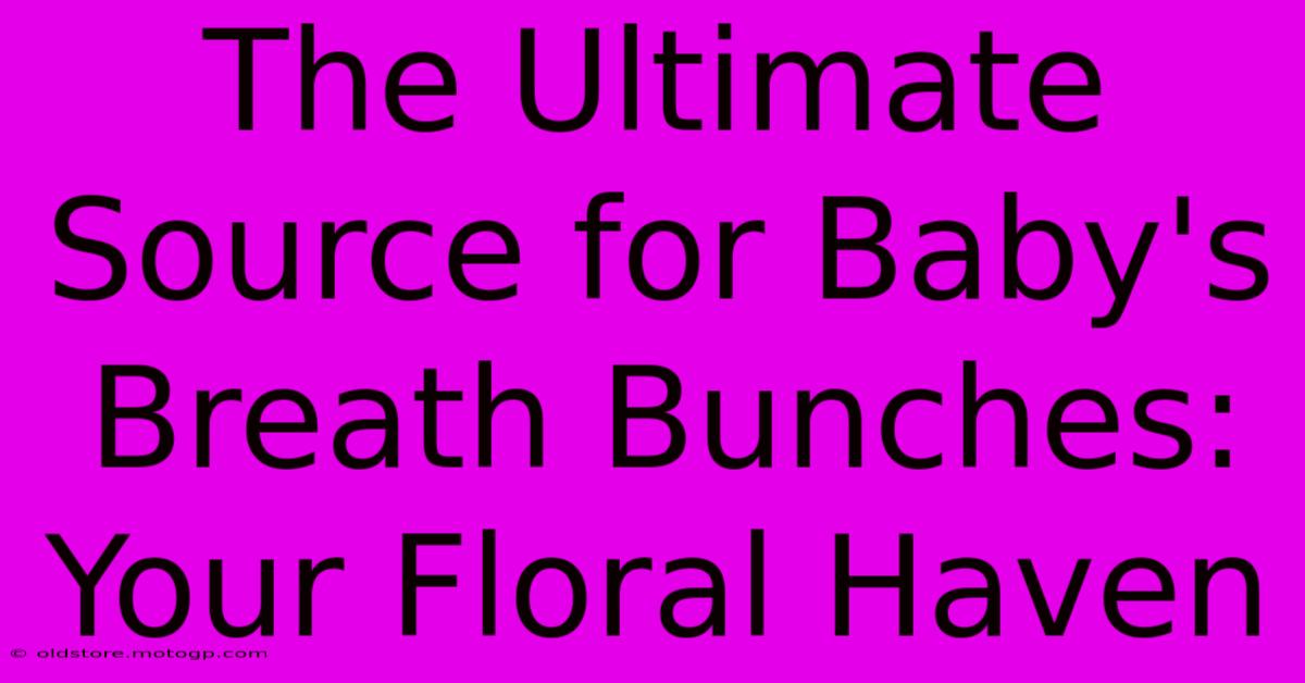 The Ultimate Source For Baby's Breath Bunches: Your Floral Haven