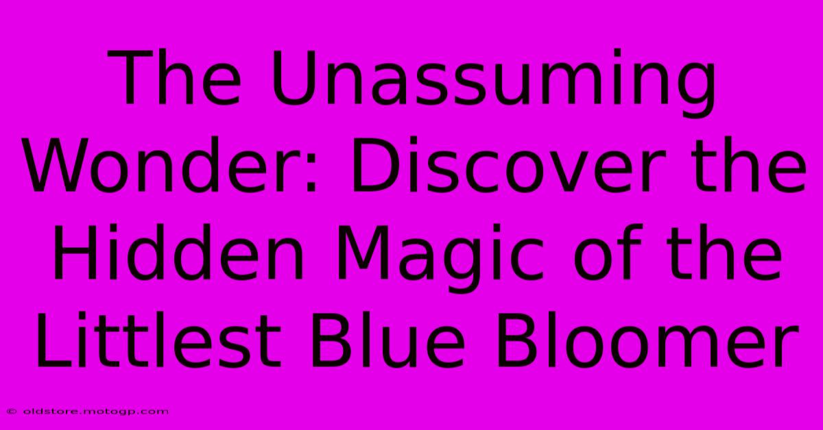 The Unassuming Wonder: Discover The Hidden Magic Of The Littlest Blue Bloomer