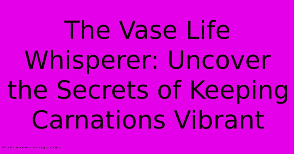 The Vase Life Whisperer: Uncover The Secrets Of Keeping Carnations Vibrant