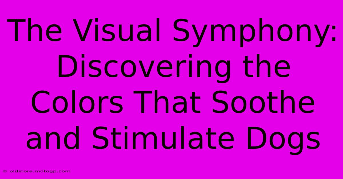 The Visual Symphony: Discovering The Colors That Soothe And Stimulate Dogs