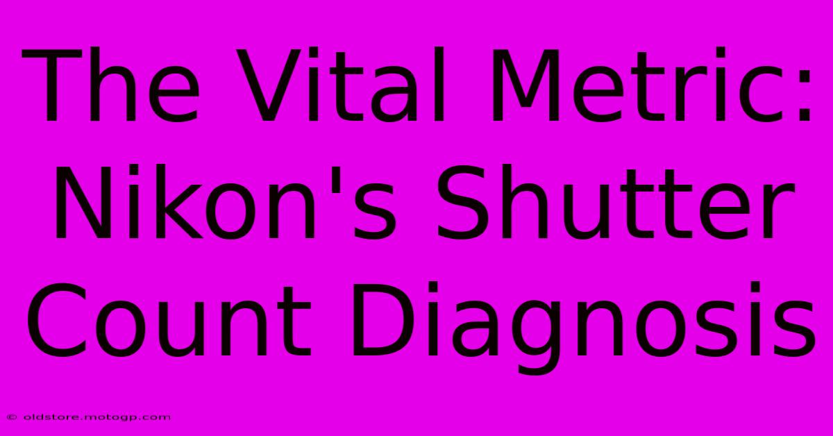 The Vital Metric: Nikon's Shutter Count Diagnosis