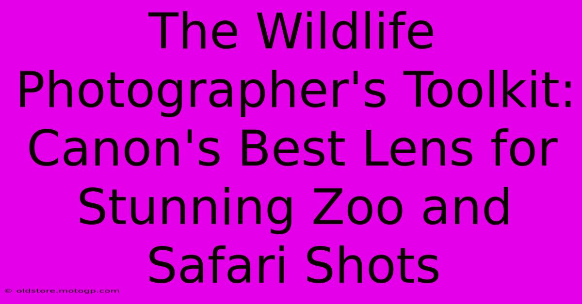 The Wildlife Photographer's Toolkit: Canon's Best Lens For Stunning Zoo And Safari Shots