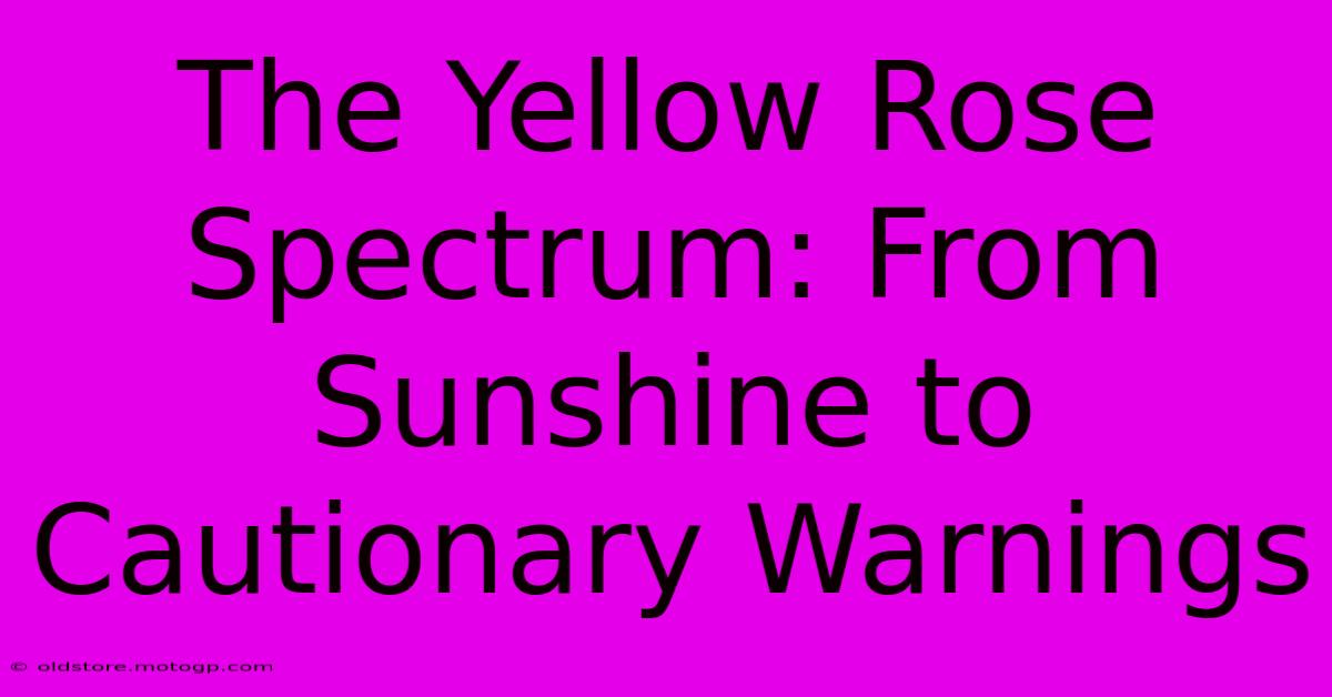 The Yellow Rose Spectrum: From Sunshine To Cautionary Warnings