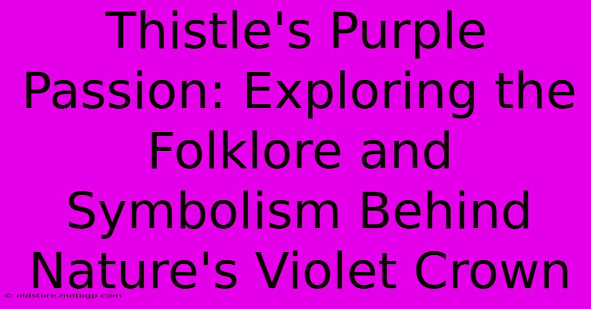 Thistle's Purple Passion: Exploring The Folklore And Symbolism Behind Nature's Violet Crown