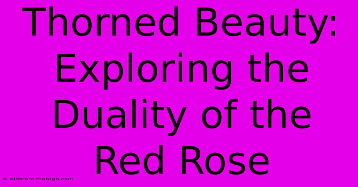 Thorned Beauty: Exploring The Duality Of The Red Rose