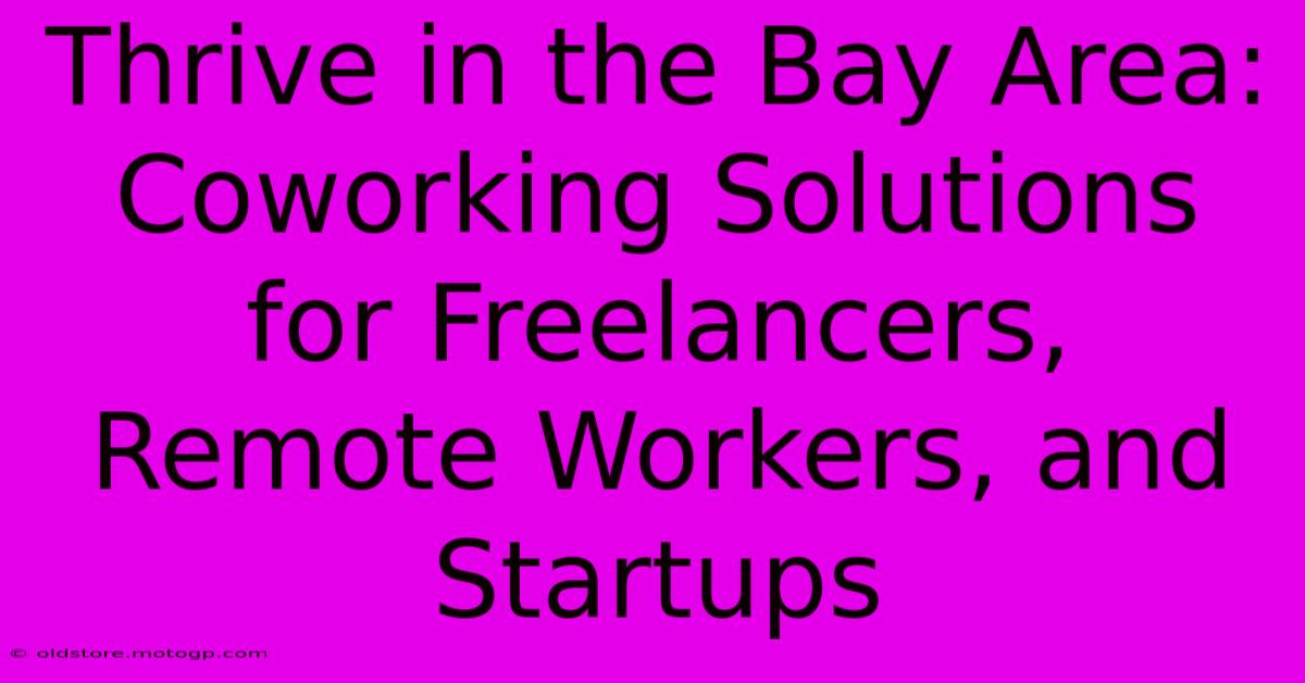 Thrive In The Bay Area: Coworking Solutions For Freelancers, Remote Workers, And Startups