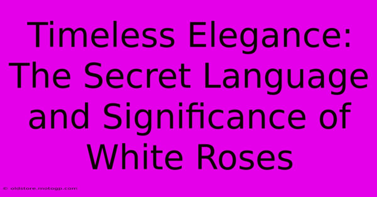 Timeless Elegance: The Secret Language And Significance Of White Roses