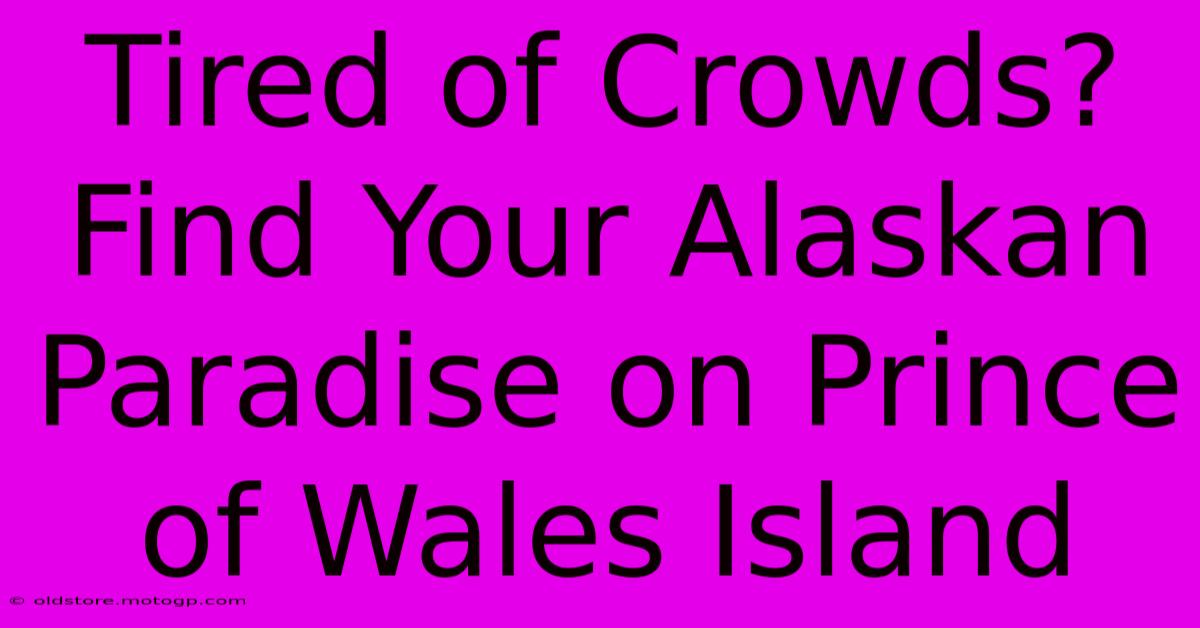 Tired Of Crowds? Find Your Alaskan Paradise On Prince Of Wales Island