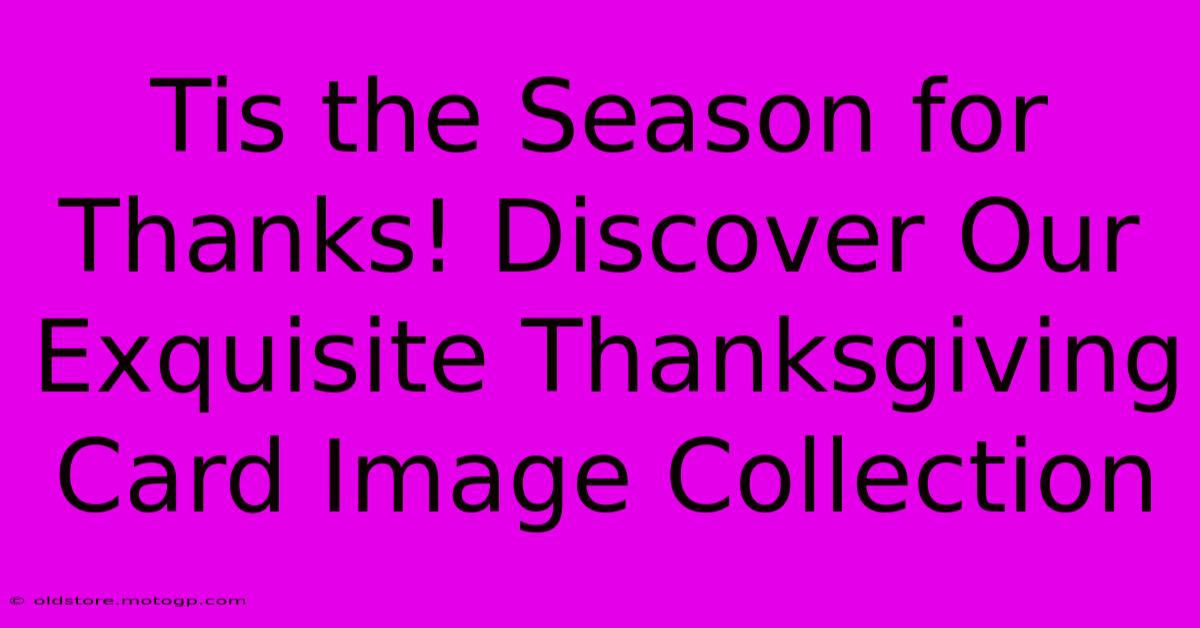 Tis The Season For Thanks! Discover Our Exquisite Thanksgiving Card Image Collection