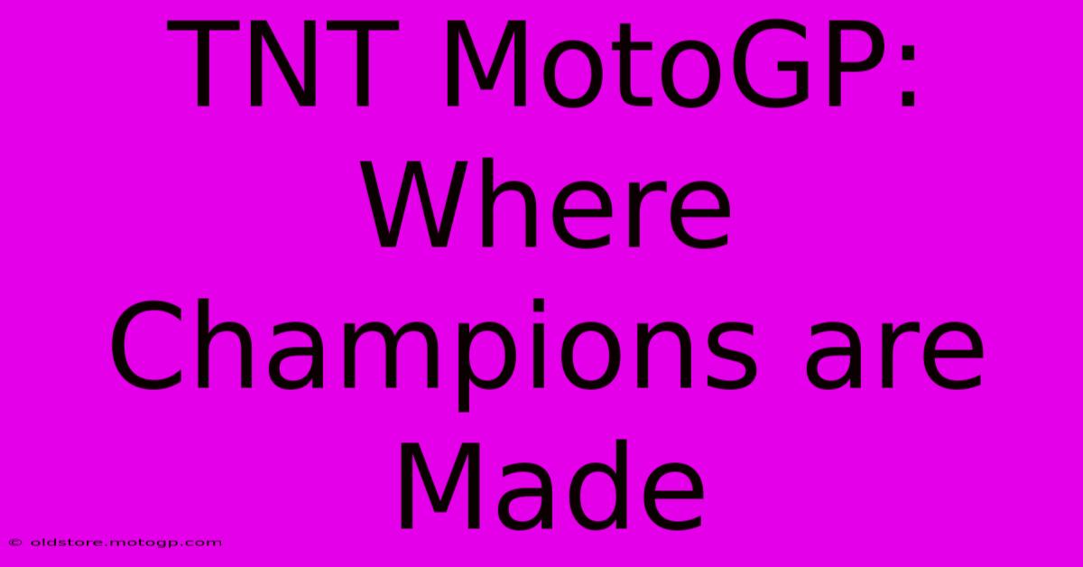 TNT MotoGP: Where Champions Are Made