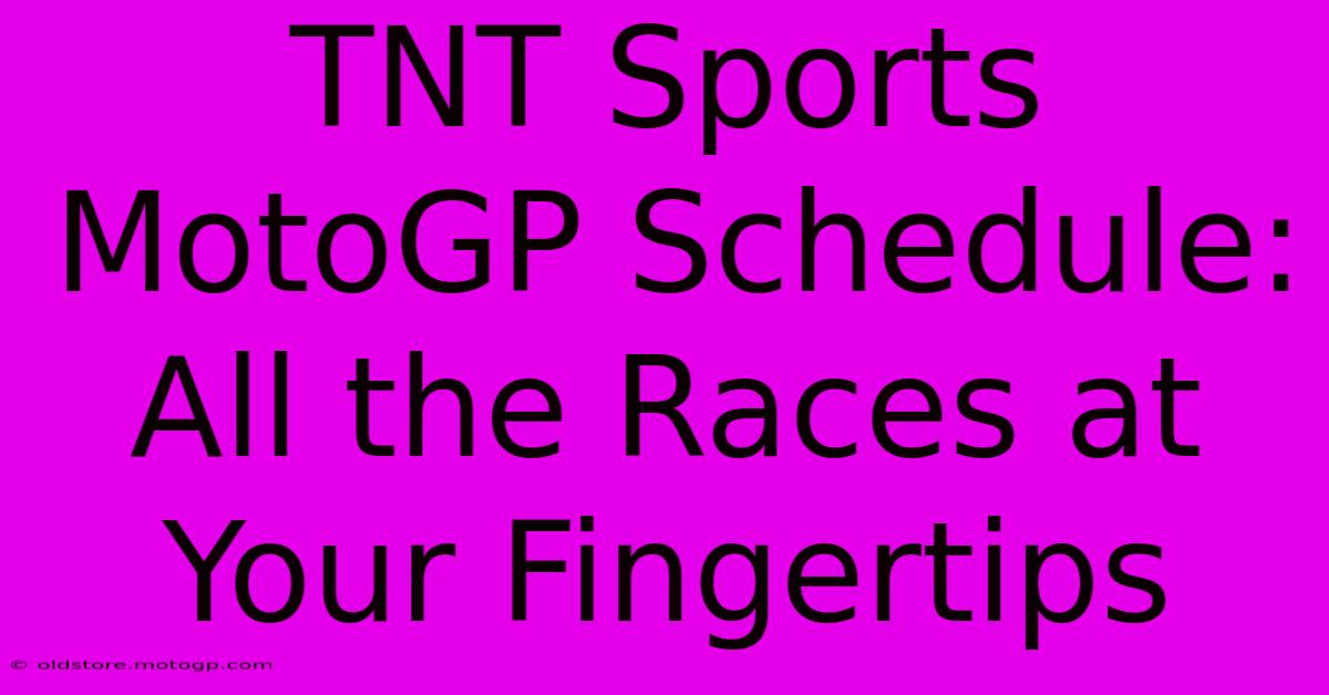 TNT Sports MotoGP Schedule: All The Races At Your Fingertips