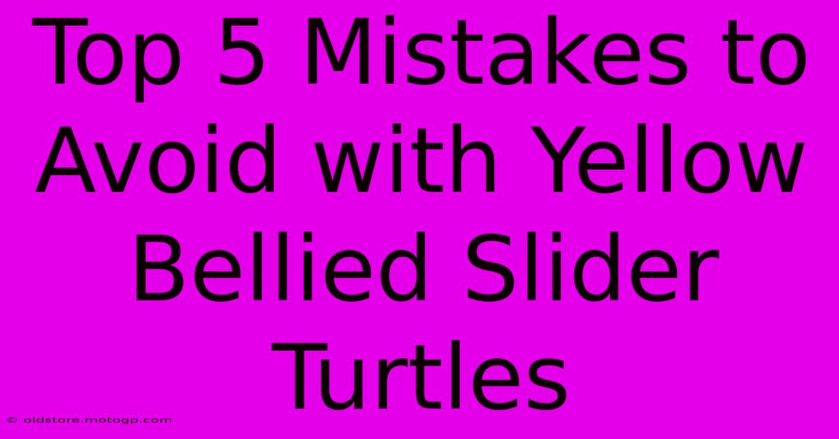 Top 5 Mistakes To Avoid With Yellow Bellied Slider Turtles