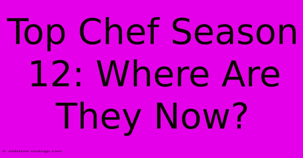 Top Chef Season 12: Where Are They Now?